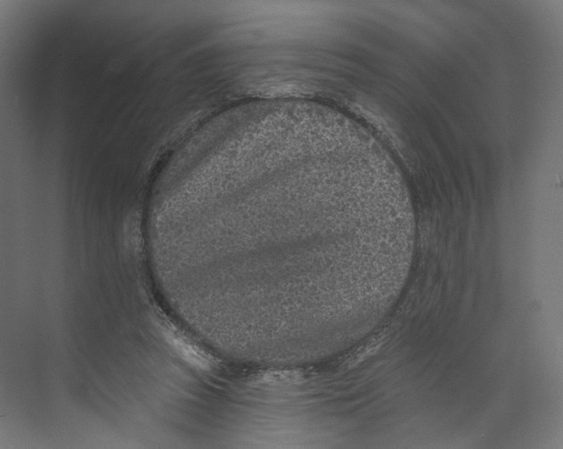 X0000073850353200609071613