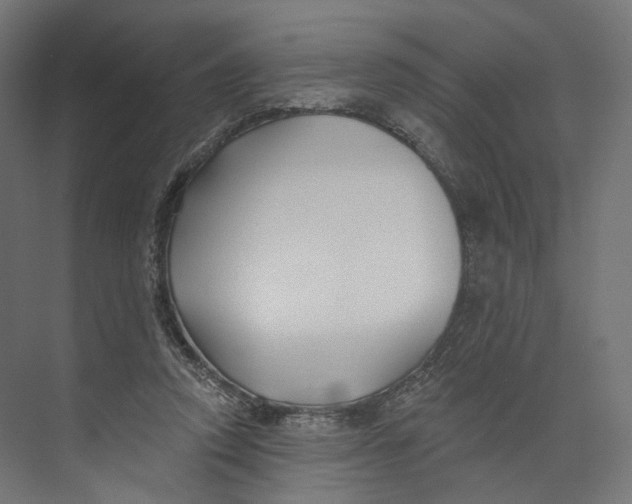 X0000073850354200609071613