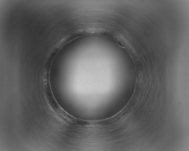 X0000073850356200609071613