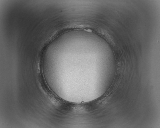 X0000073850358200609071613