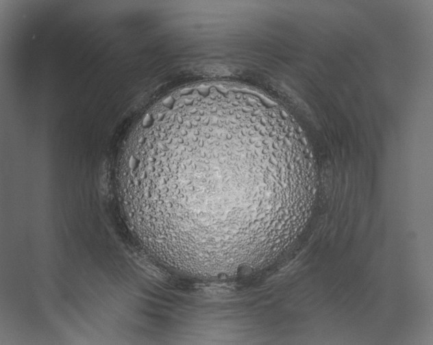 X0000073850359200609071613