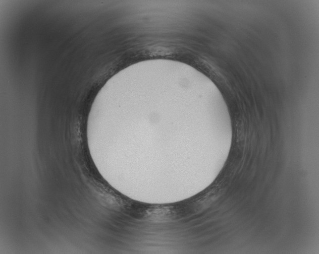 X0000073850362200609071613