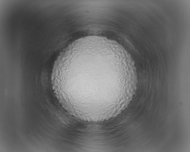 X0000073850363200609071613