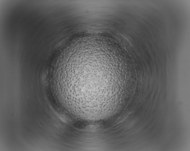 X0000073850364200609071613