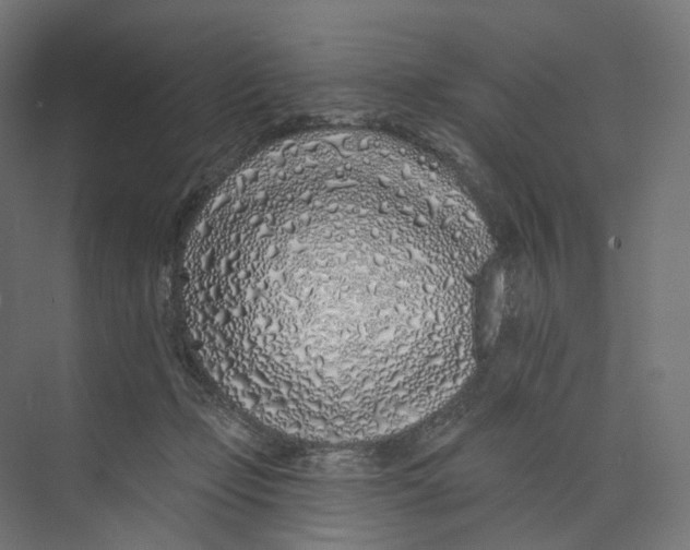 X0000073850365200609071613