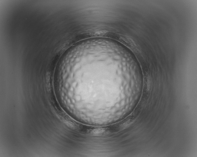 X0000073850366200609071613