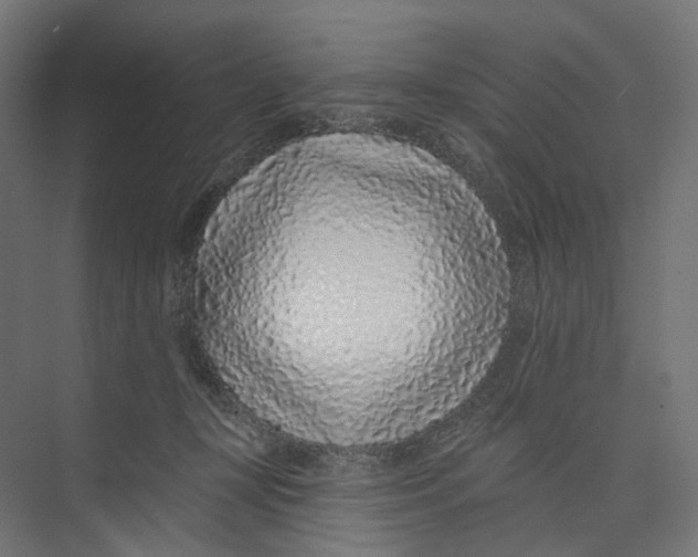 X0000073850367200609071613