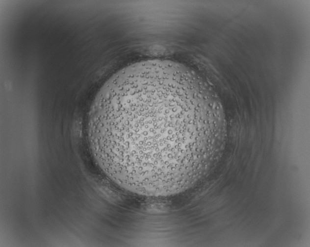 X0000073850368200609071613