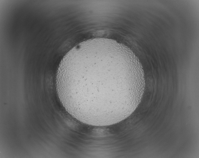 X0000073850375200609071613