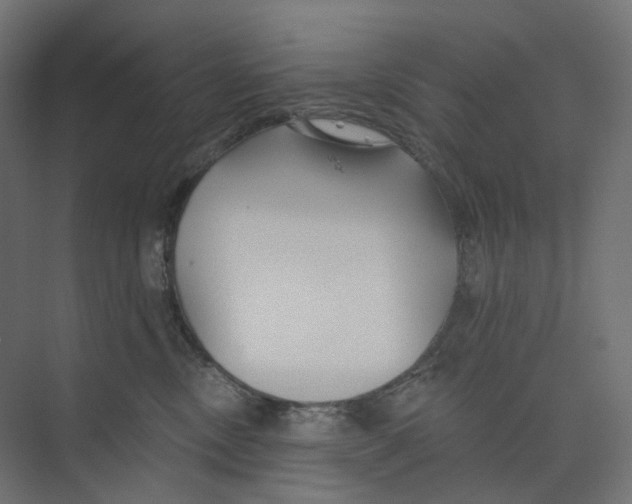 X0000073850378200609071613