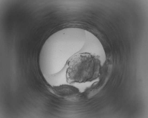 X0000073850381200609071613