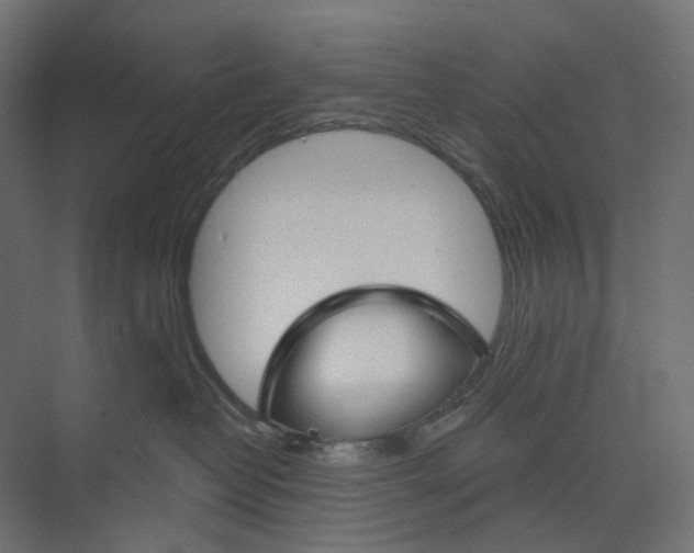 X0000073850382200609071613