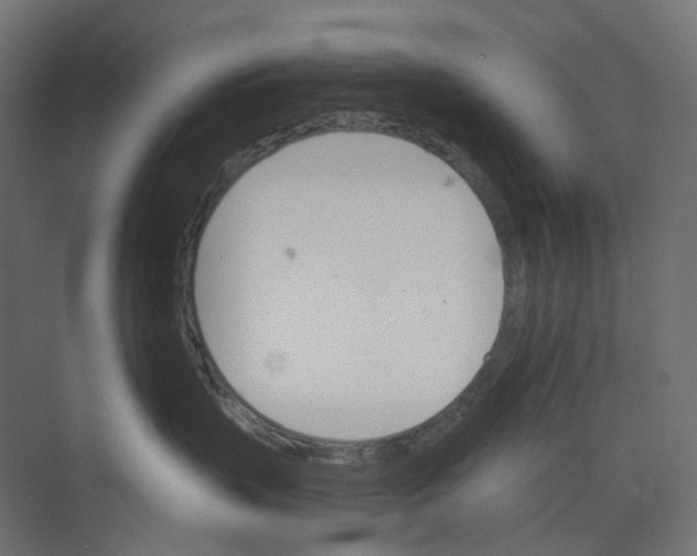 X0000073850383200609071613