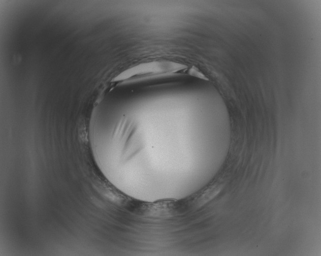 X0000073850384200609071613