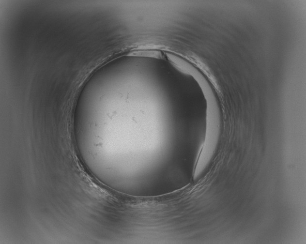 X0000073850385200609071613