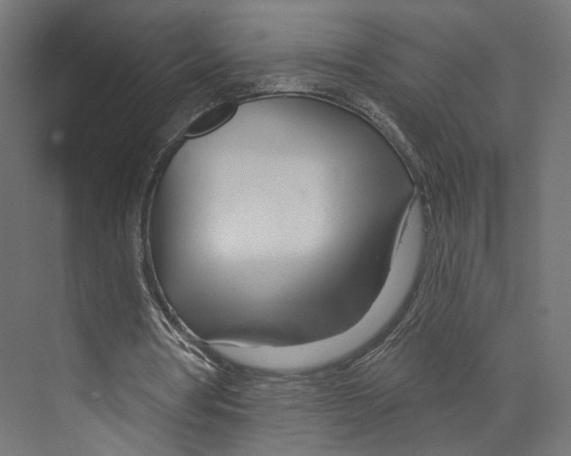 X0000073850386200609071613