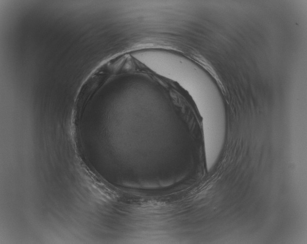 X0000073850387200609071613