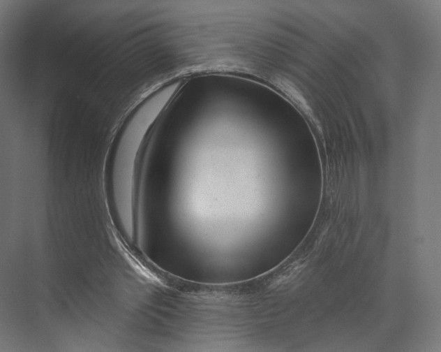 X0000073850389200609071612