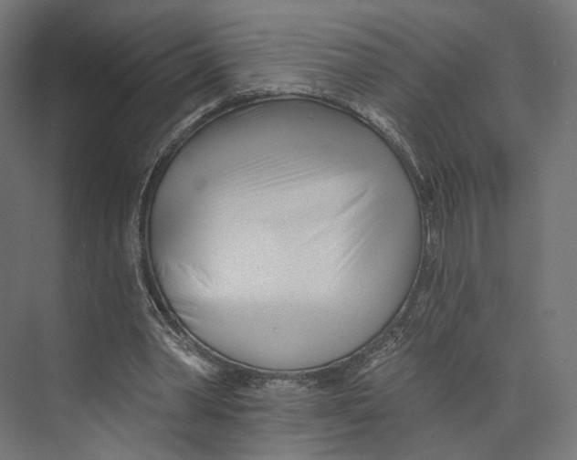 X0000073850390200609071612