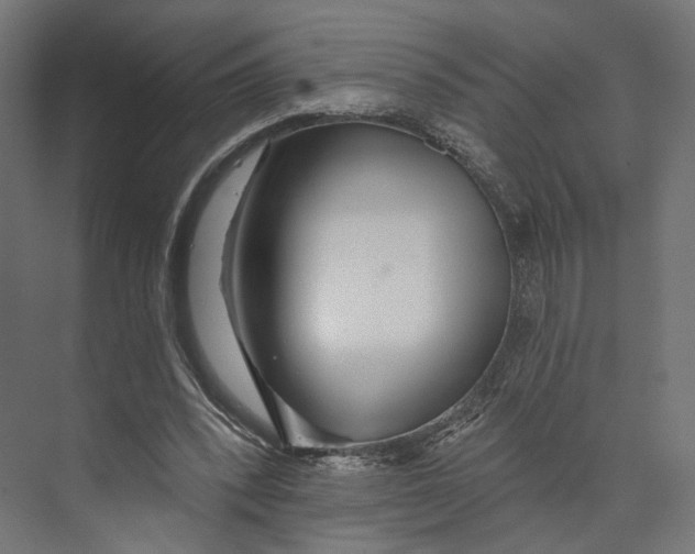 X0000073850392200609071612