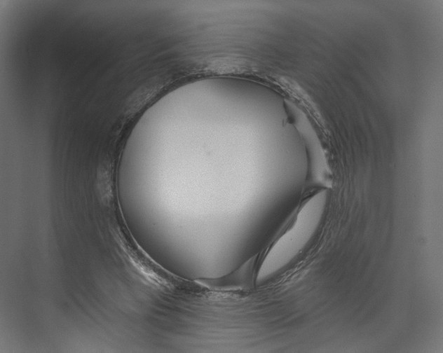 X0000073850393200609071612