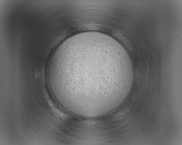 X0000073850394200609071612