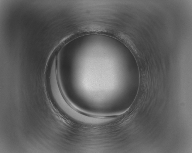 X0000073850395200609071612