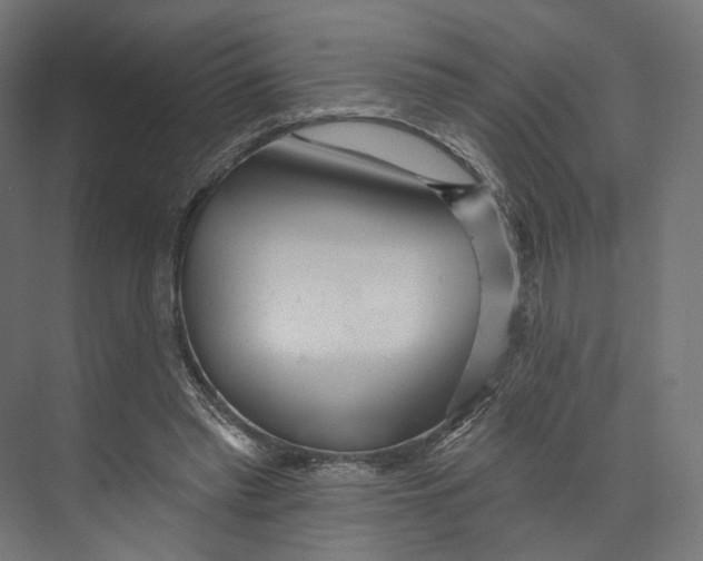 X0000073850397200609071612