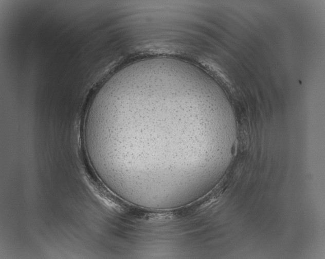 X0000073850398200609071612