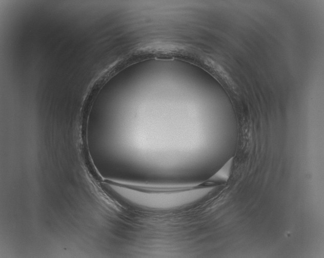 X0000073850399200609071612