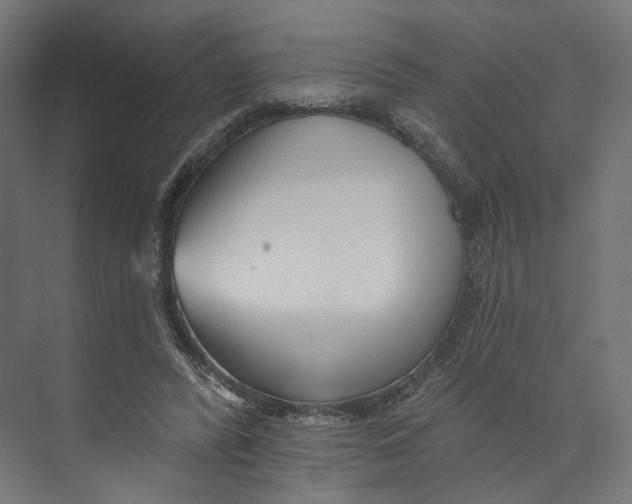 X0000073850400200609071612