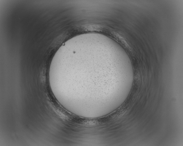 X0000073850402200609071612