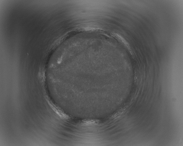 X0000073850405200609071612