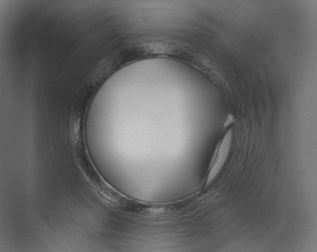 X0000073850406200609071612