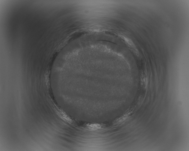 X0000073850409200609071612