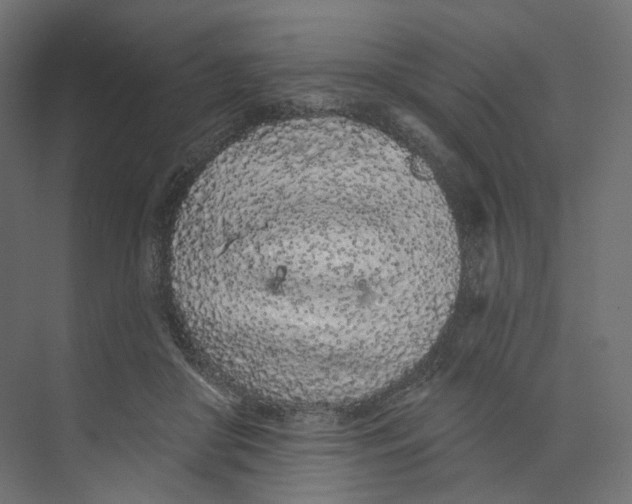 X0000073850410200609071612