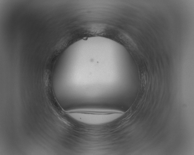 X0000073850412200609071612