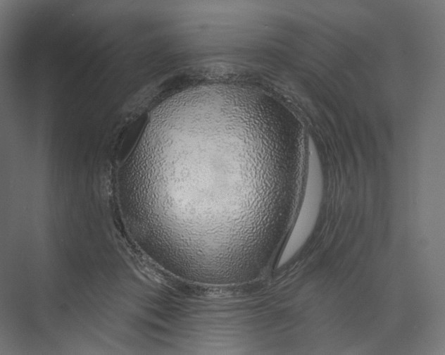 X0000073850413200609071612