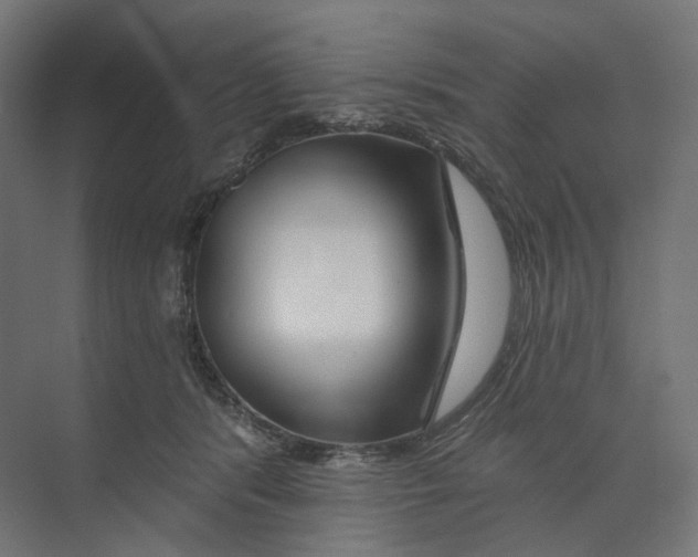 X0000073850416200609071612