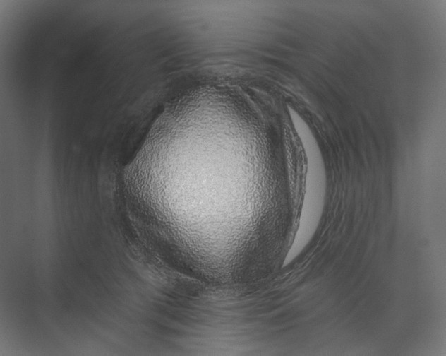 X0000073850417200609071612