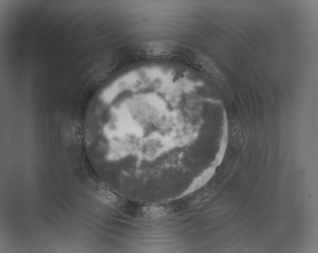 X0000073850419200609071612