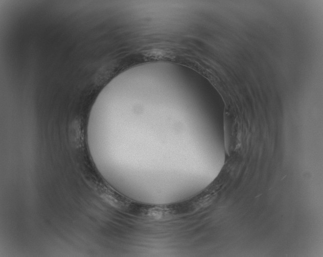 X0000073850420200609071612