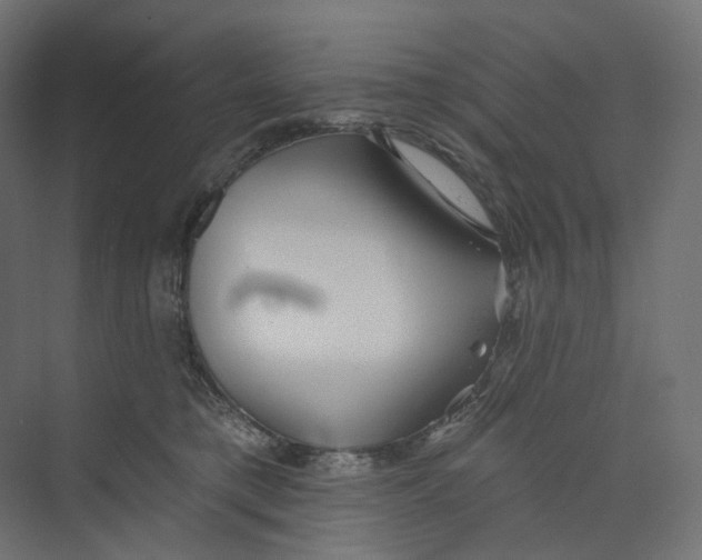 X0000073850421200609071612