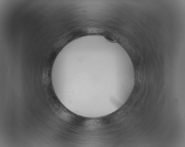 X0000073850422200609071612