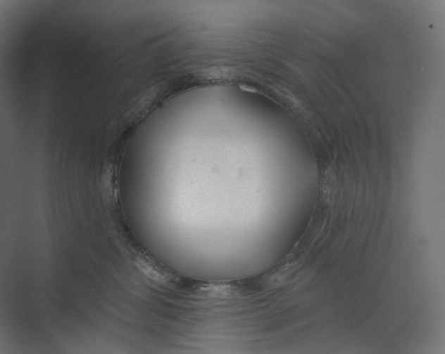 X0000073850428200609071612