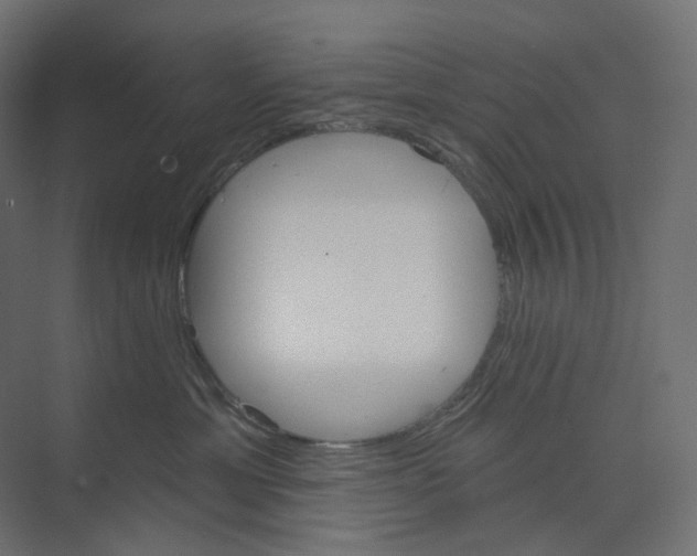 X0000073850429200609071612