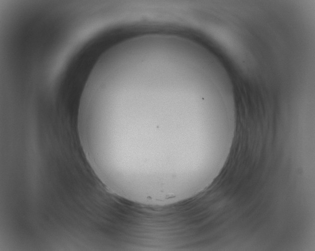 X0000073850431200609071612