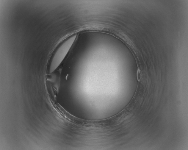 X0000073850434200609071611