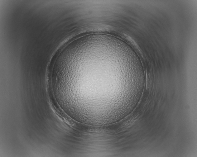 X0000073850435200609071611