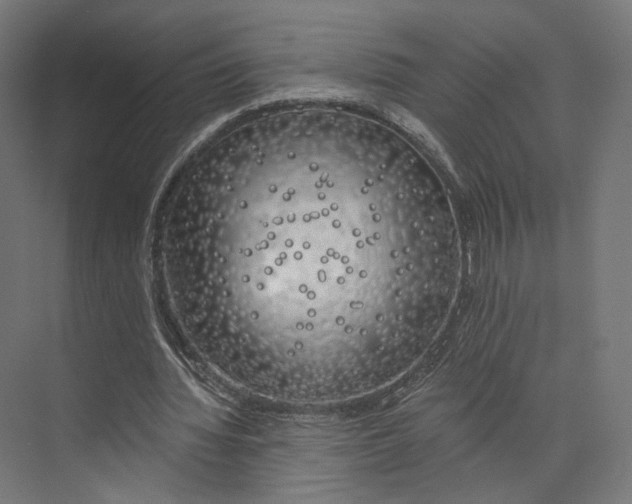 X0000073850436200609071611